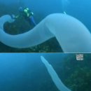 바다속PC 이미지