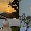 오낮오밤 이미지