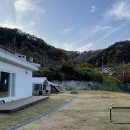 꼬다리우스 독채 펜션 이미지