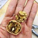 싱싱팜농장 | 2017.11.20일 헬로우싱싱팜 맛있는 과일 소개합니다 딸기행사중!!