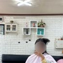 춘천로295번길 | 춘천 미용실 추천 드려요:)