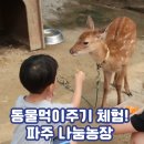 우리돈농장 | 파주 나눔농장 후기 아기랑 가볼만한곳으로 강력추천!