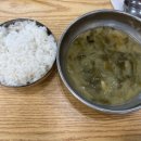 또순이네 집밥 이미지