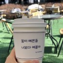 경기도 시흥 메르블루 (MER BLEUE) 애견동반 레스토랑 & 카페