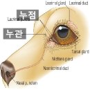 유케어종합동물병원 이미지