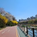창3동 공립 작은도서관 네이버블로그