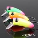 아이비팜 이미지