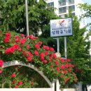 상화유치원 이미지