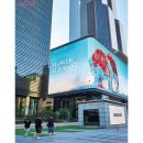 장안의화제 이미지