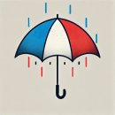 일주일을 돌아보는 리포트 정리 <26년 6월 4주차>