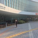 이채원 | 캠퍼스펫 페스타 훈련상담 후기｜이채원 교수님 솔루션 받고 쿠키가 달라졌어요