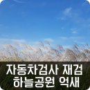 은빛카센타 | 자동차종합검사 재검후기와 계획없던 억새구경