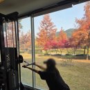 포레스트 짐 | 🏋️‍♀️도안동PT I 20회차 -4.4kg 감량 후기 [포레스트짐]