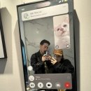 네일이즈비 | TRI PHOTO, 네컷사진, 시딩 성게만두, 파빌리온 네일아트, 밍지카오위, 구적족도, 대련술집...