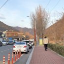 창녕군 영산시외버스터미널 이미지