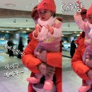 재이마트 스포츠조선