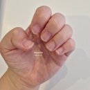 동홍사거리-중앙로타리 | [브리에네일] 서귀포 동홍동 젤네일 맛집 / 여기 깔쌈하게 잘하네잉~