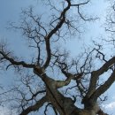 중리마을회관 이미지