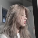 헤어엘 네이버블로그