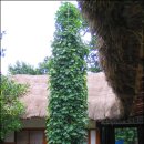 수도여관 이미지