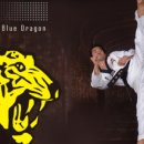 용인대청룡태권도전문도장 이미지