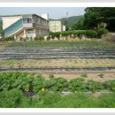 위례초등학교 이미지