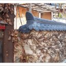 단양집민박 이미지