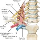 길동한의원 이미지