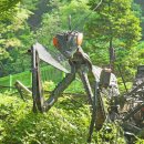 국제성지 둘레길 이미지