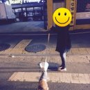 라뽀동물병원 이미지