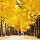 명장2동-20 이미지