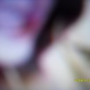 페이크식 가짜뉴스 송신처,메일,기자명,미디어사 없는 조잡한 선동적 불안 부추기는 판도라 토네이도뉴스.-김형택기자 이미지