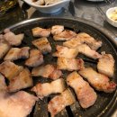 몽땅꾸이꾸이 이미지