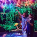 반디의꿈 이미지