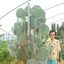 만송농장 이미지