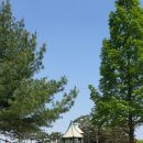 문암생태공원(바베큐장) 이미지