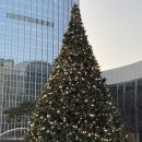 리버카라반 이미지