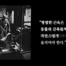 아자필라테스