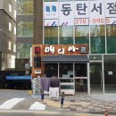 고양이의 봄, 묘랑묘랑 네이버블로그