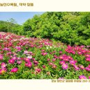 작약정원