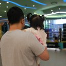 은평-020 이미지