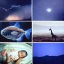 미술가의 삶과 작품을 나의 작품으로 이미지