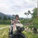 포도밭1길 이미지