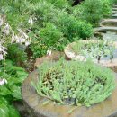 중리보건진료소 이미지