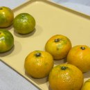 금학갈비 | 11월 : 귀여운거 잔뜩 구경하고 가세요