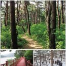 백제가요정읍사오솔길(1코스 산행구간) 이미지