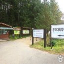 잣나무약수터 이미지