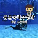 대전 용운국제수영장 스쿠버다이빙 오픈워터 체험기