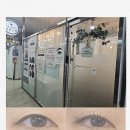오늘도;예쁜눈썹
