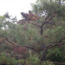 관광예술원 이미지